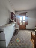 Foto20
