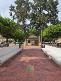 Foto46