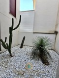 Foto44