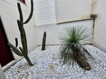 Foto45