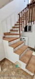 Foto5