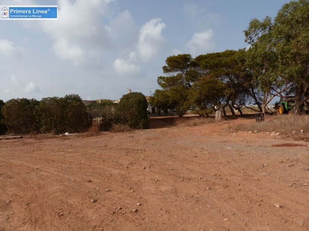venta de finca agrícola en los belones foto grande (2)