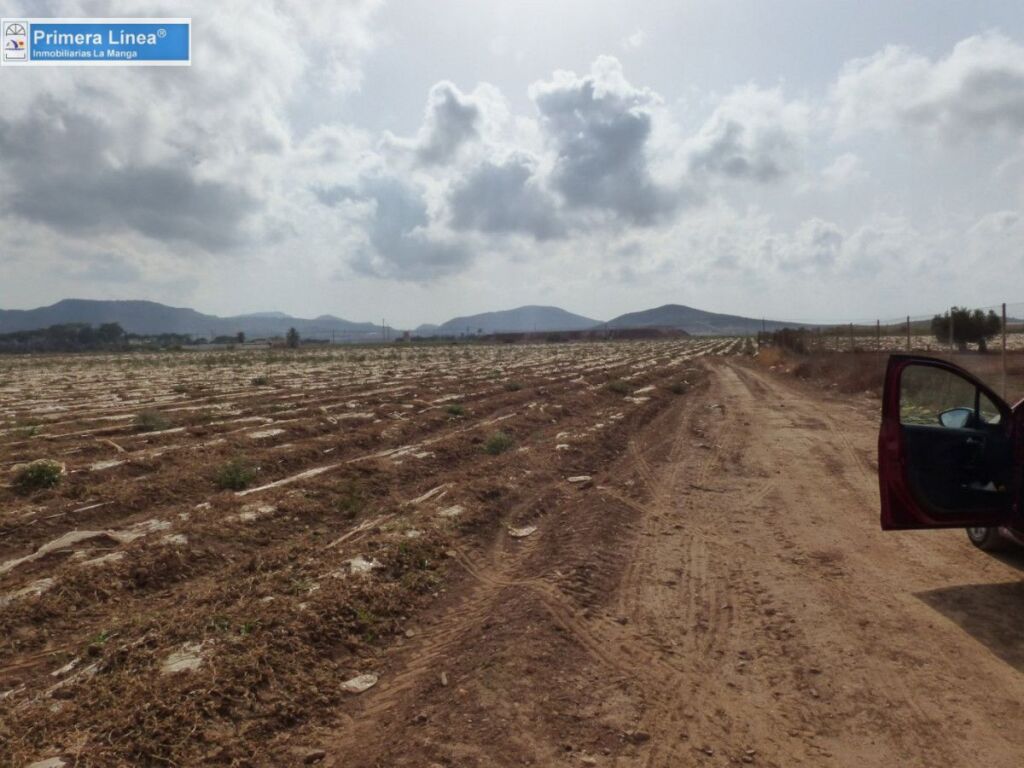 venta de finca agrícola en los belones foto grande (3)