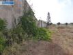 Foto34