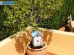 Foto32