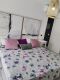 Foto38