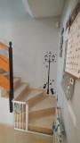 Foto24