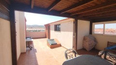 Foto41