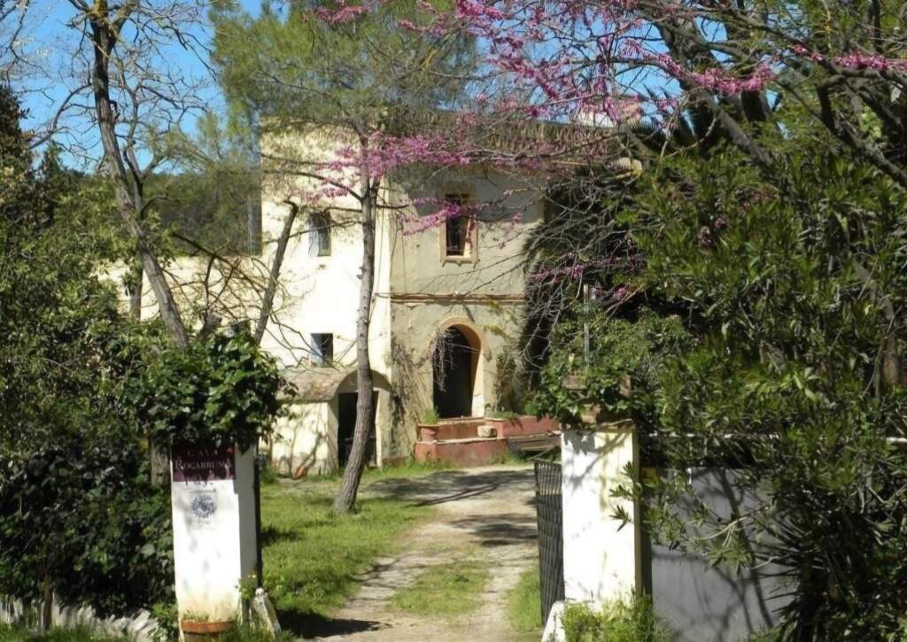 casa rural con encanto en entorno natural privilegiado en el alt penedés. foto grande (2)