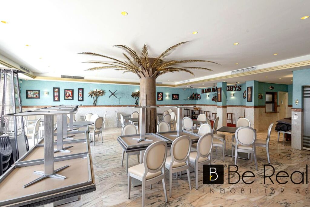 oportunidad de inversión:dos restaurantes en venta en guadalmina baja foto grande (2)