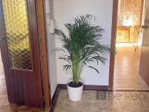 Foto12