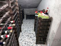 Foto51