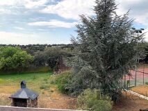 Foto42