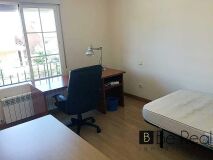 Foto5