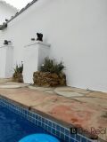 Foto8