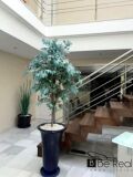 Foto6