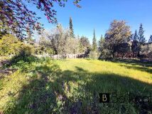 Foto15