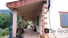 Foto5