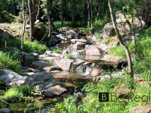 Foto15