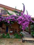 Foto14