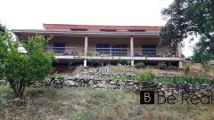 Foto8