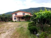 Foto4