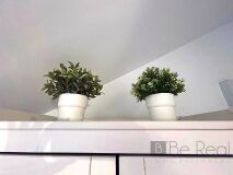 Foto11