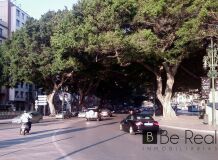 Foto4