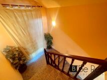 Foto53
