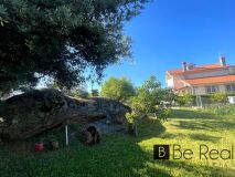 Foto9