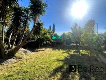 Foto16