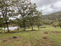 Foto5
