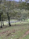 Foto3