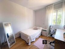 Foto12