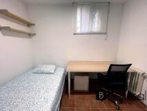 Foto8