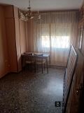 Foto8