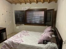 Foto8