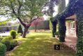Foto39