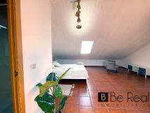 Foto19