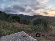 Foto21