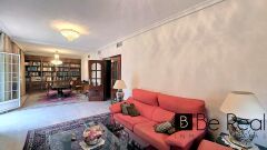 Foto8