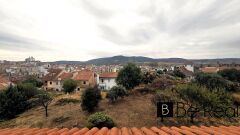 Foto40
