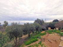 Foto40