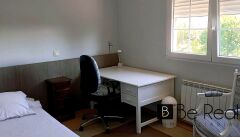 Foto5