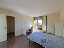 Foto15
