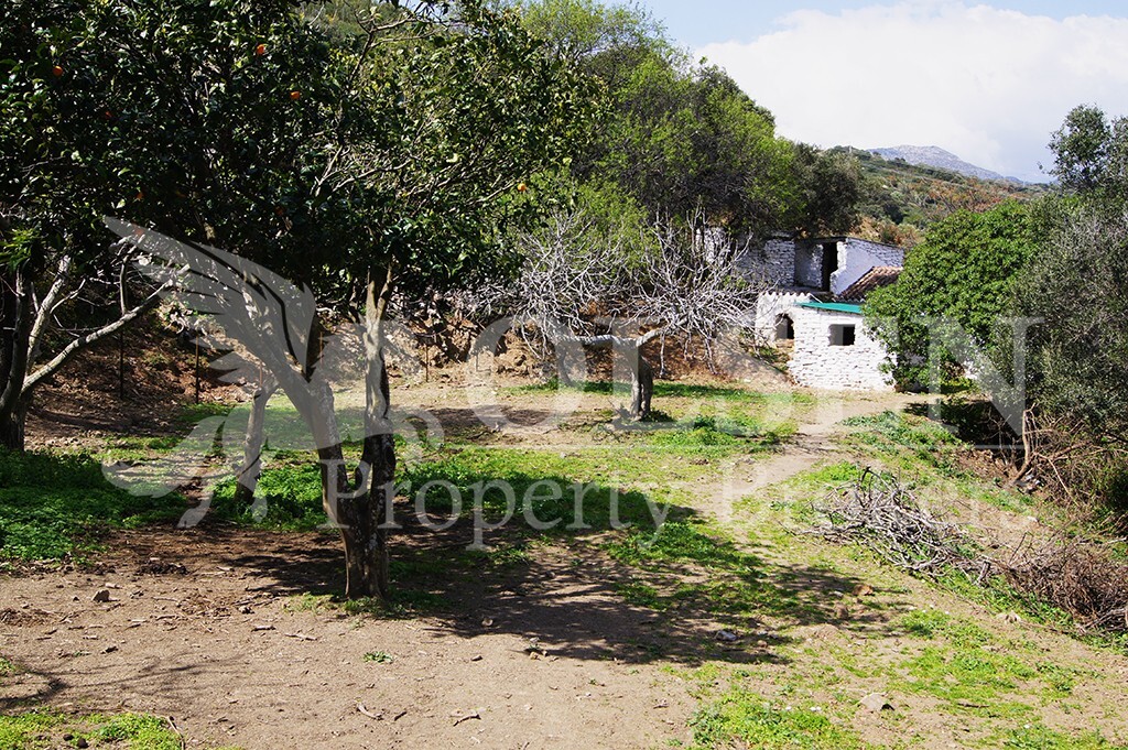 suelo rústico en venta en casares málaga foto grande (2)