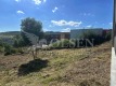 Foto5