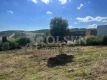Foto6