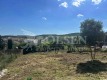 Foto7