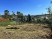 Foto9